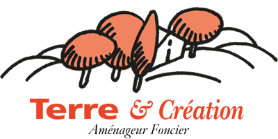 Terre Création
